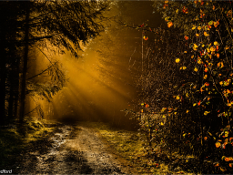 _mg_6373-editb