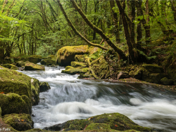 _mg_8863-edit-edit