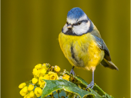 _C2A2244-Enhanced-NR-Edit-Edit-2