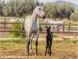 _C2A8530-Edit-Edit-2