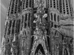 PXL_20251006_095323160-Edit-Edit-Edit-Edit-2